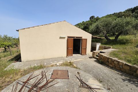 Villa i Collesano, Palermo, Collesano - € 245.000 | Ref: 10561 - foto 8